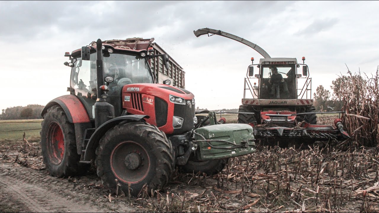✩Kukurydza na kiszonkę z Kubotami✩|Kubota M7151 & Strautmann 4002Giga|