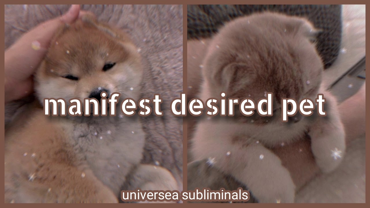 manifest desired pet subliminal 《short ver.》