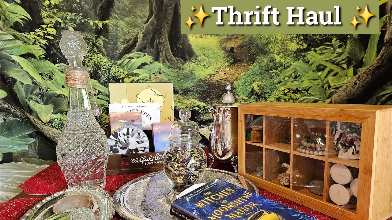 Witchy Thrift Haul