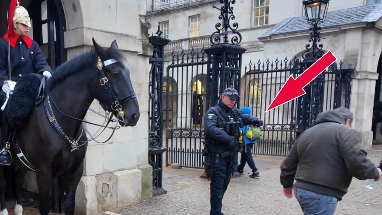 😳CLUELESS Tourist Walks Into Horse Guards Box — Armed Police Step In!