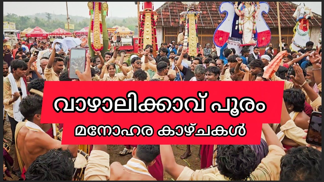 🔥 വാഴലിക്കാവ് പൂരം 2026 | Beautiful Vazhalikkavu Pooram Festival | Thrissur Pooram Vibes 🐘🎆