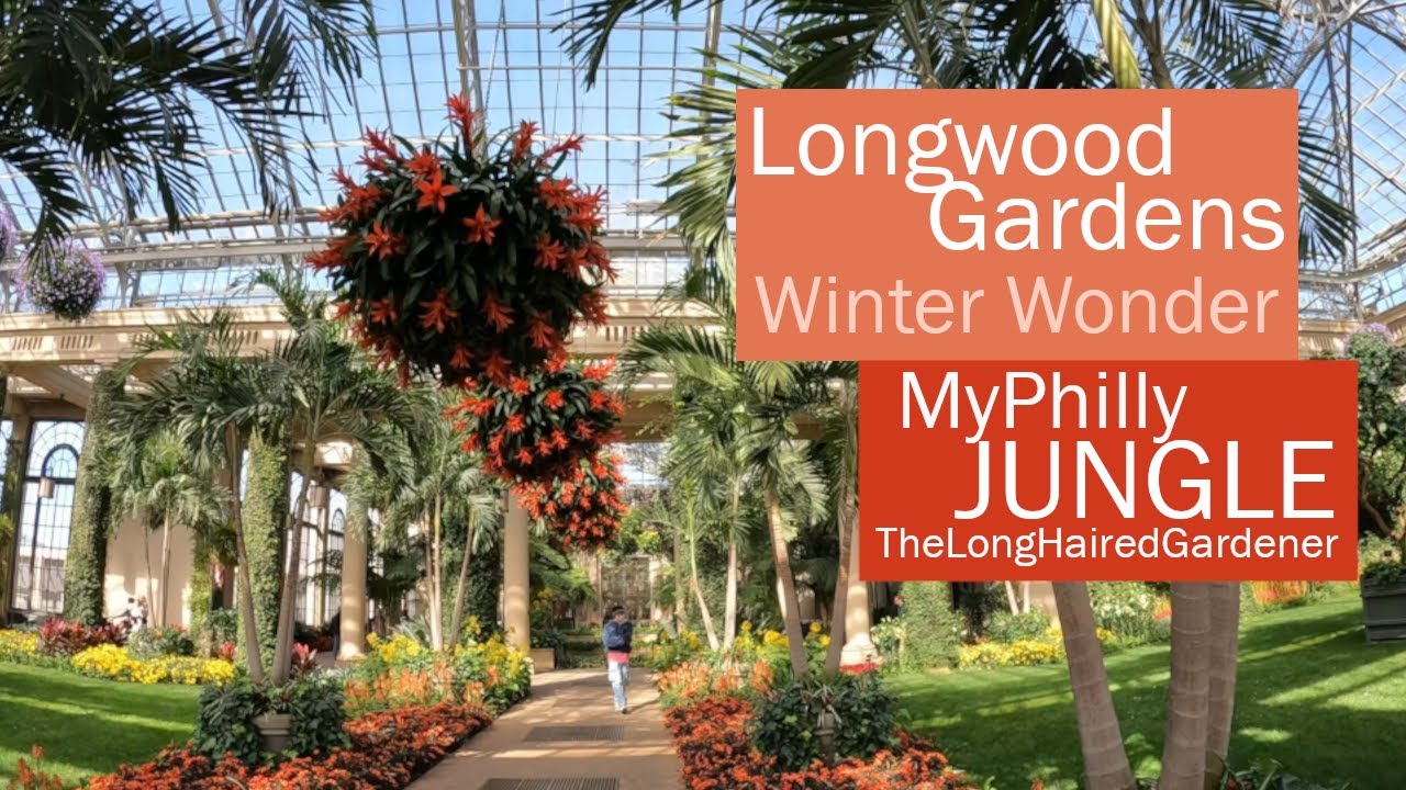 Longwood Gardens | Winter Wonder | My Philly Jungle