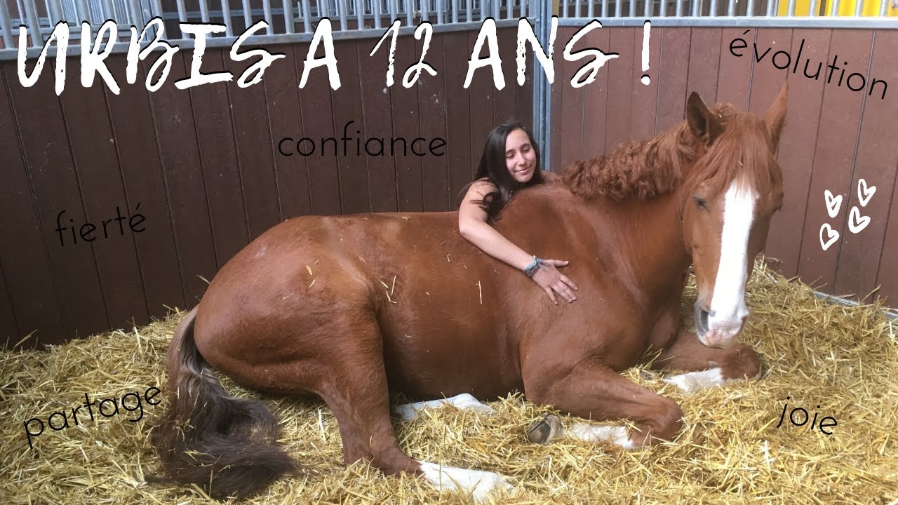 ❥ 11/04/20 - 12 ans d'Urbis !