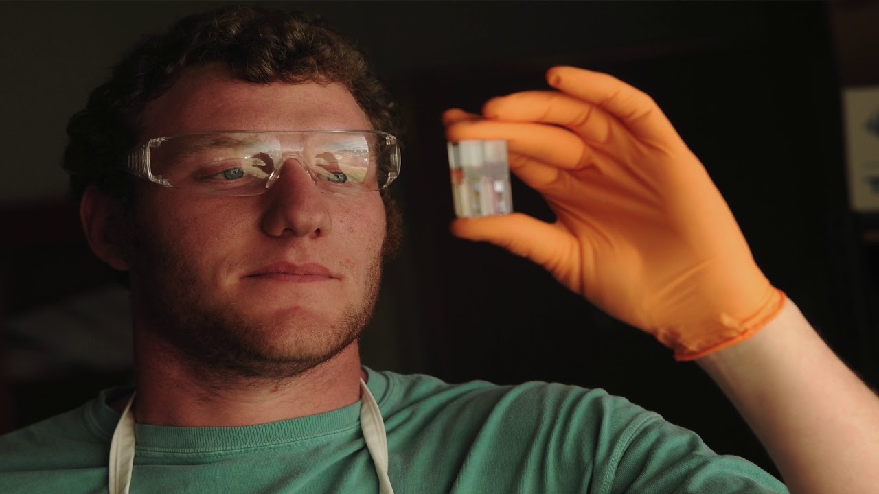 OSU Food Science is the major for you!