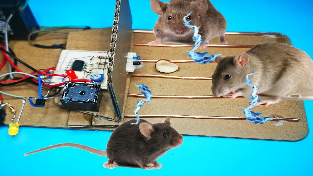 Electric Mouse Trap / Best Electric Mouse / Rat Trap # Mause # RatTrap # mousetrap