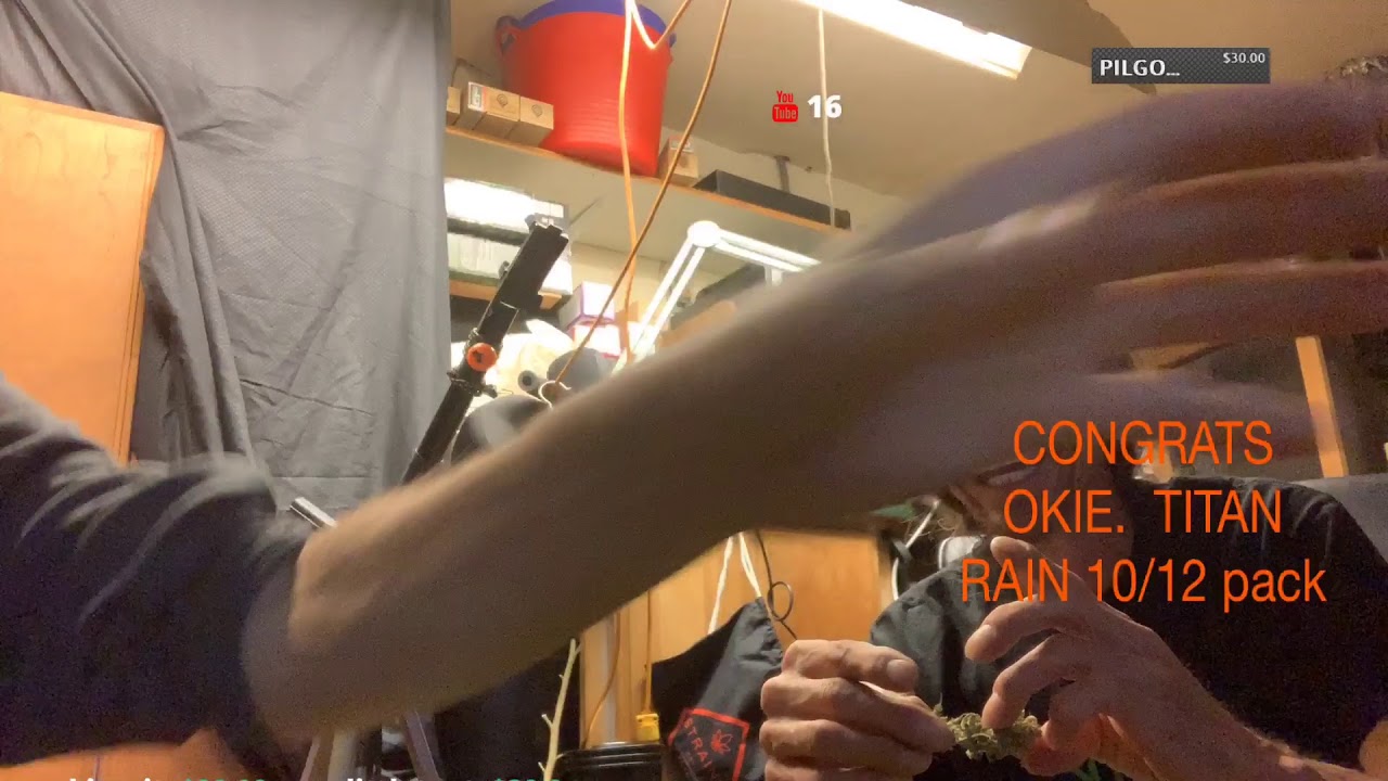 Growit 2Smokeit Live Stream