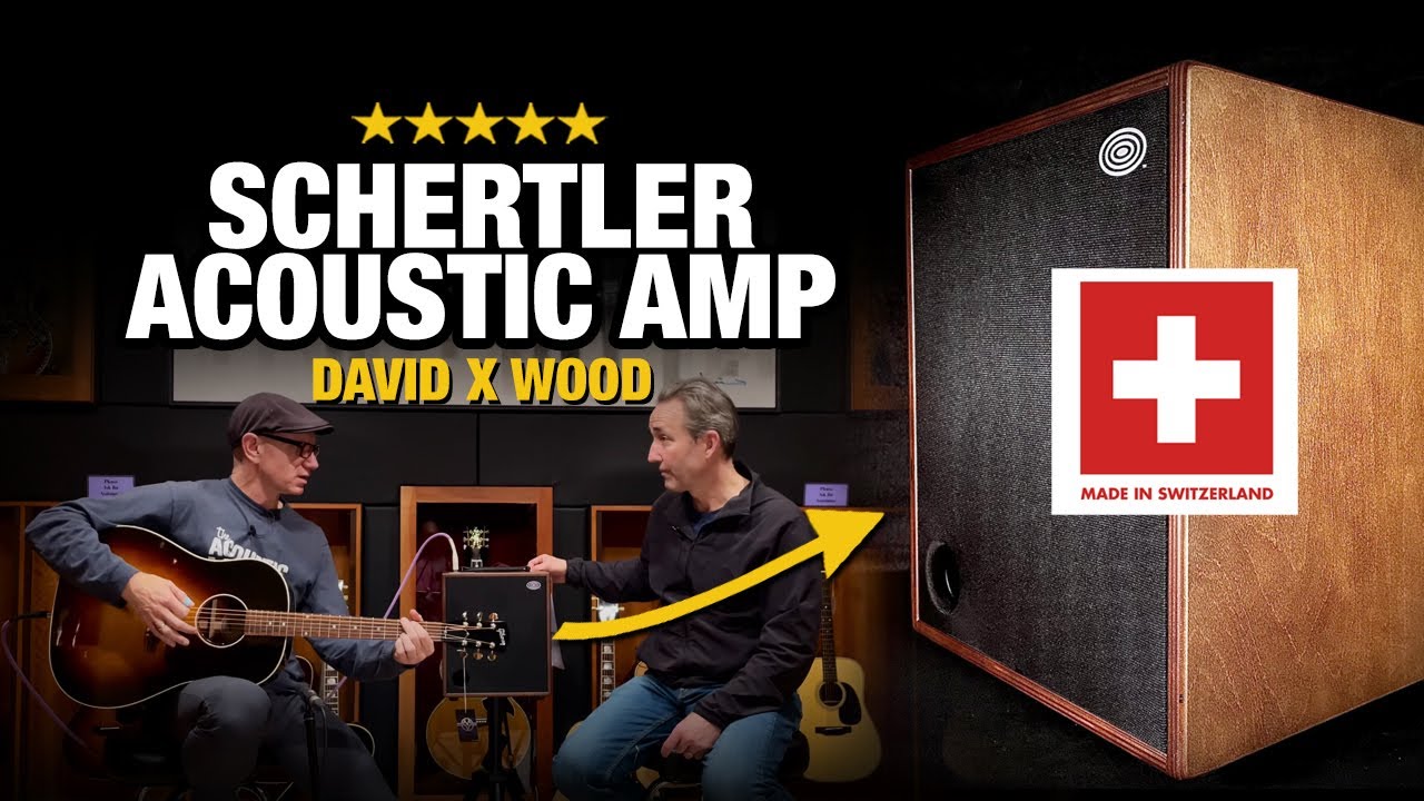 Акустический усилитель высокого класса – Schertler David X Amplification