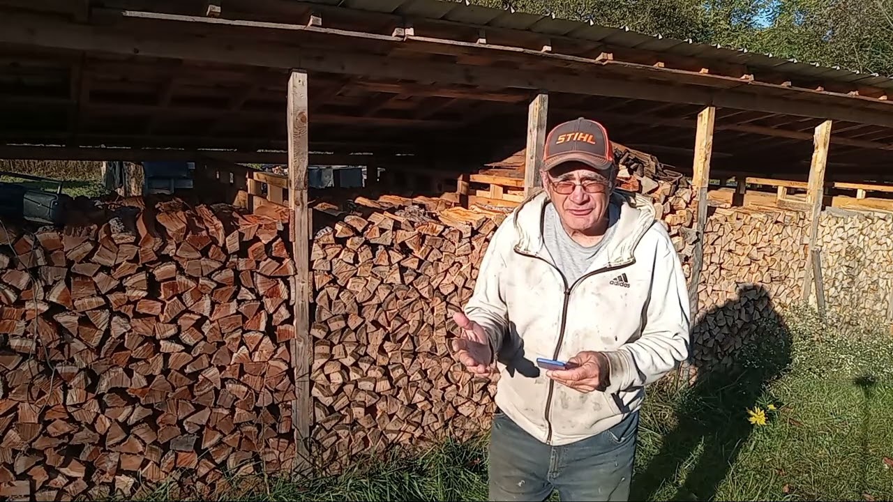 The price of 1 stick of firewood