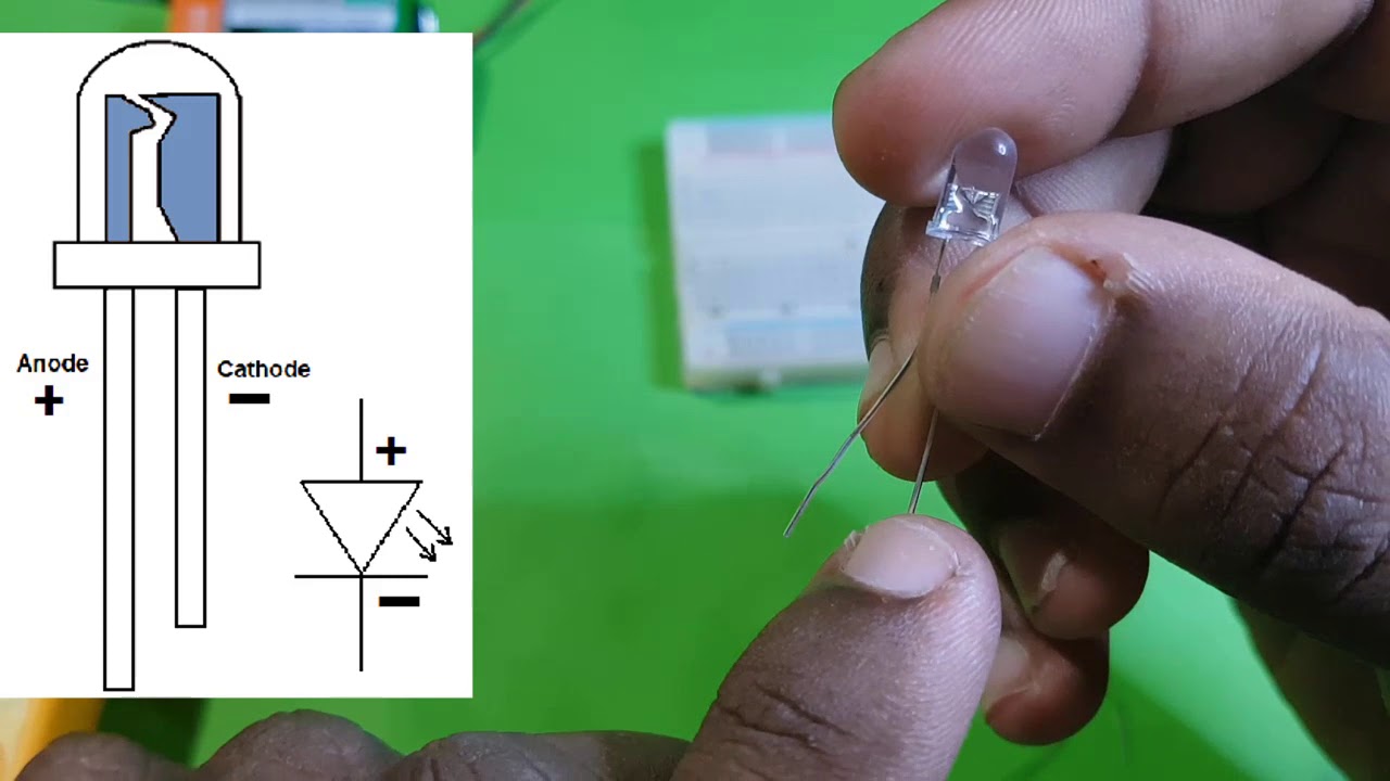 Biosystems Technology practical  Model Question part 1