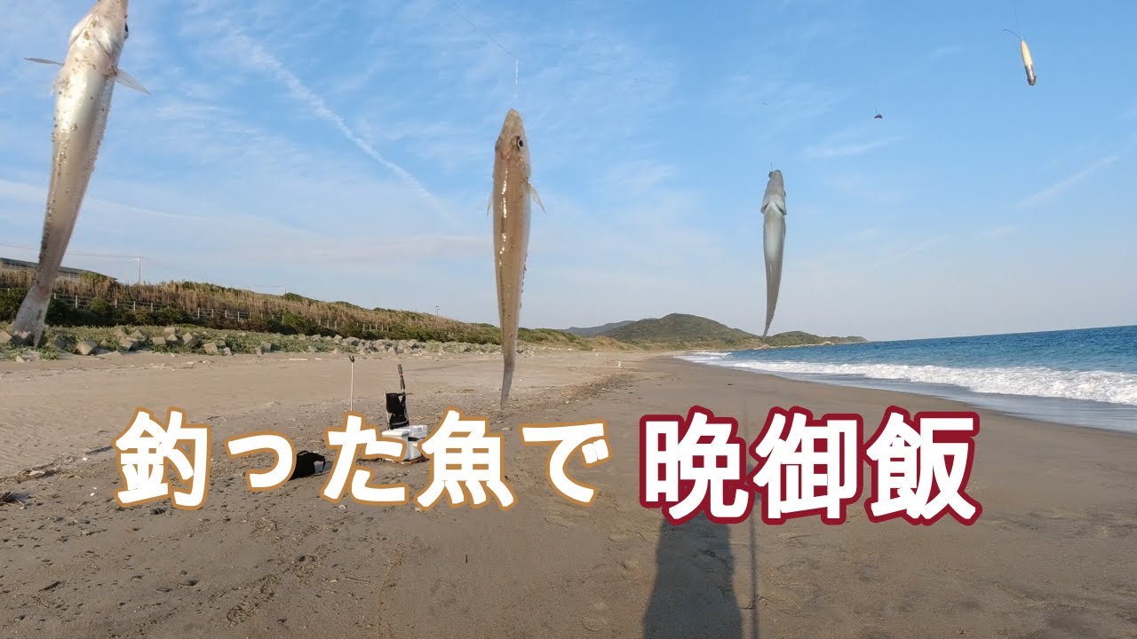 釣った魚を その日にガチ食い‼