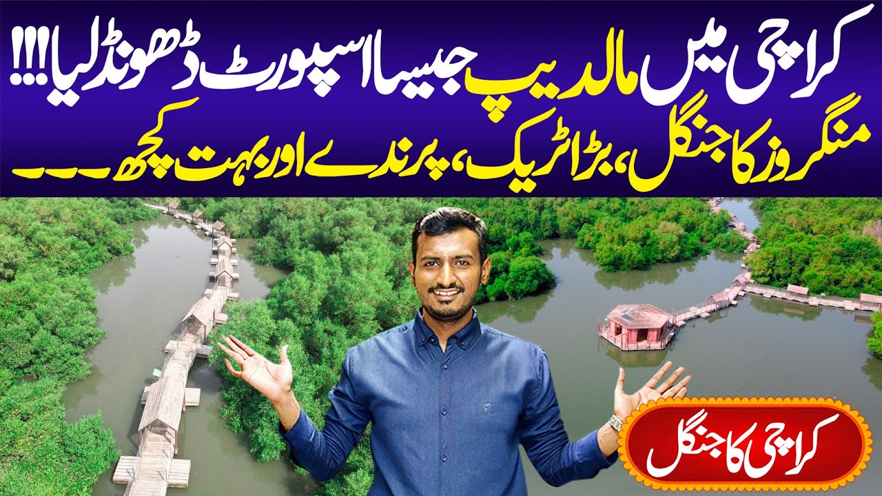 Karachi Mini Maldives | Mangrove Bio Diversity Park | Mangrove Forest | Park