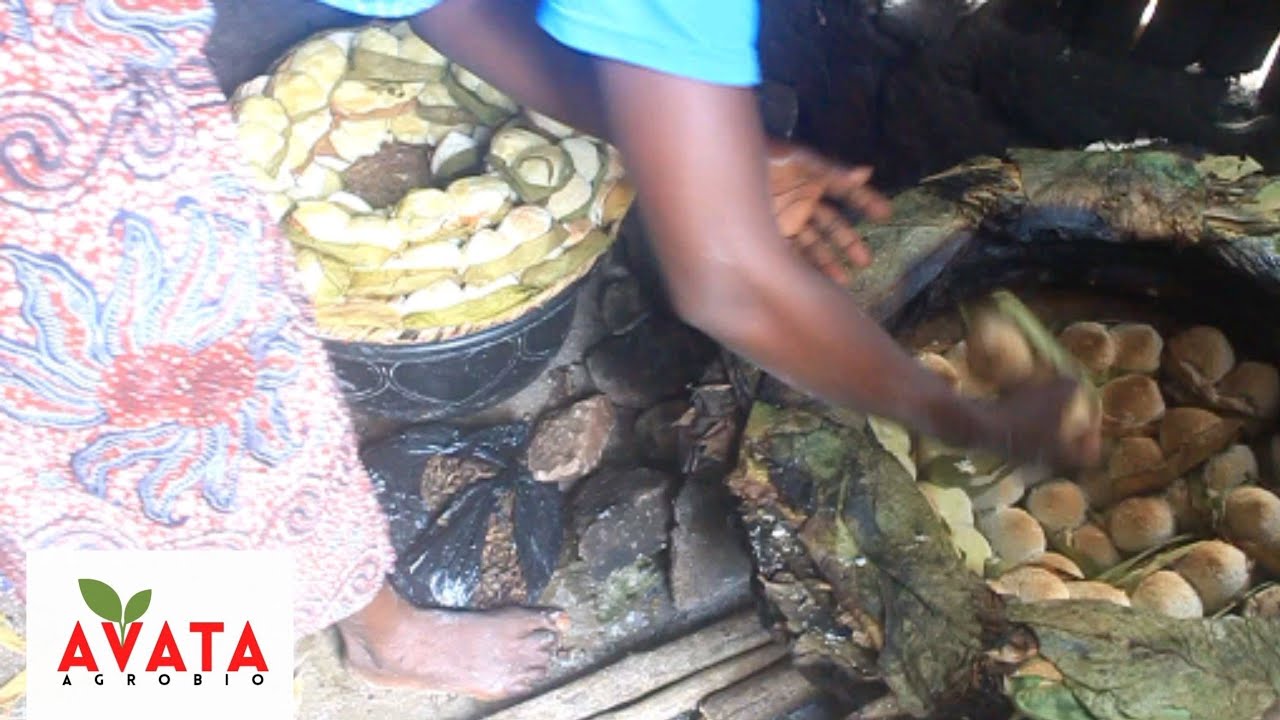 Abloyoki : Du pain traditionnel à base de manioc