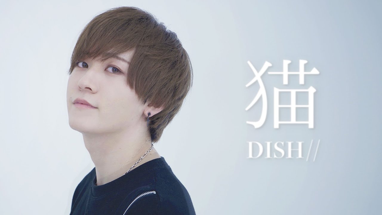 猫 - DISH//【歌ってみた】