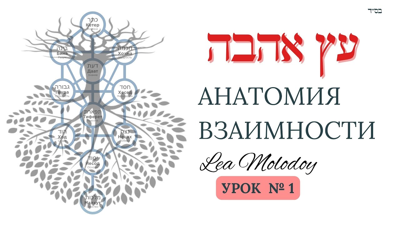 Анатомия Взаимности | УРОК 1