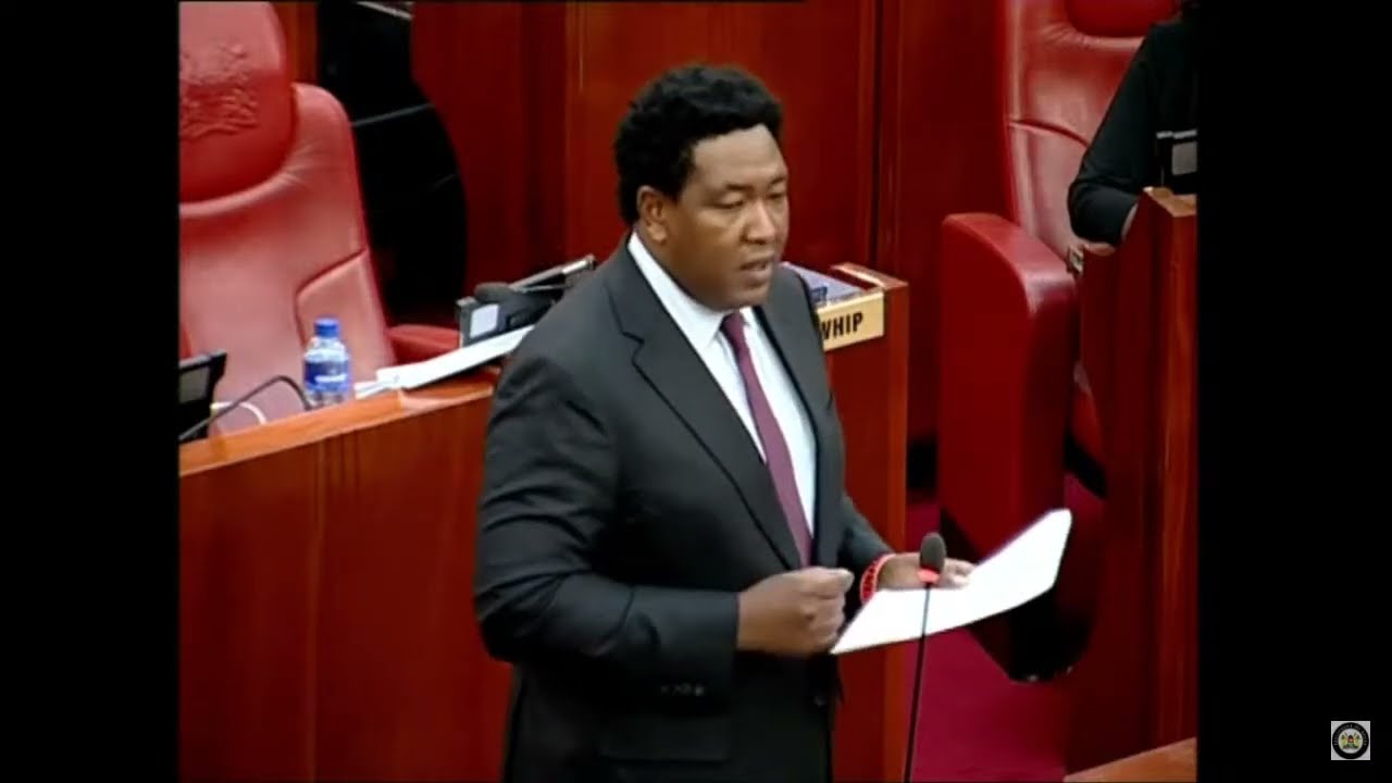 SCTNEWS: THE SENATE PLENARY PROCEEDINGS LIVE COVERAGE 29/10/2024
