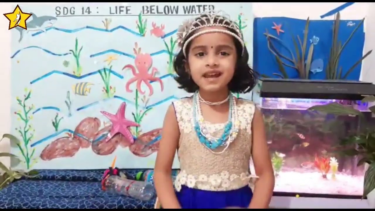 Show and Tell Activity: SDG 14 - Life Below Water