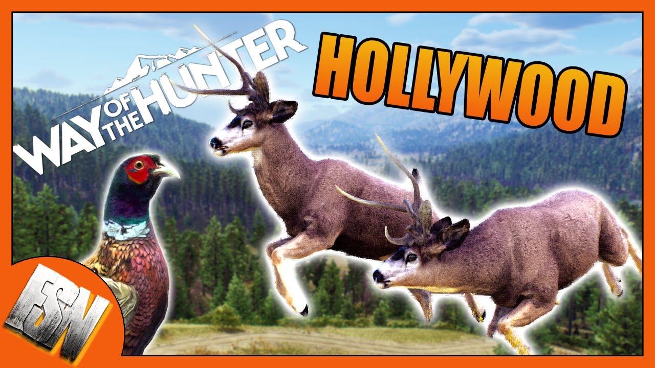Pheasant Hunting Leads to WONKY Mule Deer! l Way of the Hunter l Hollywood Hunt