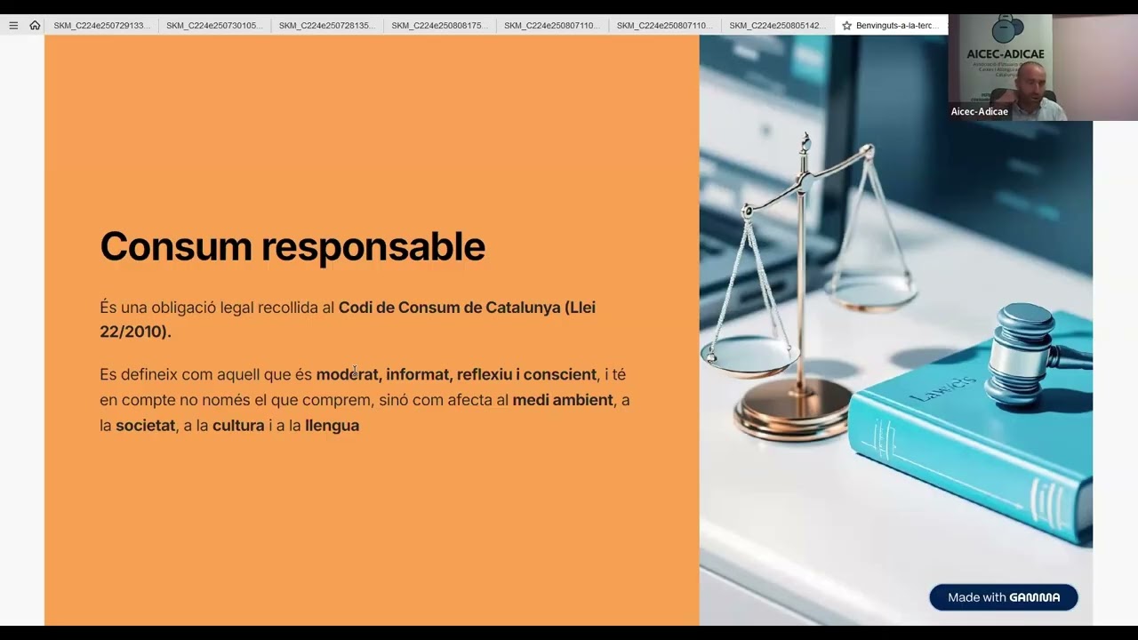 Sessió 3. Publicitat i consum responsable