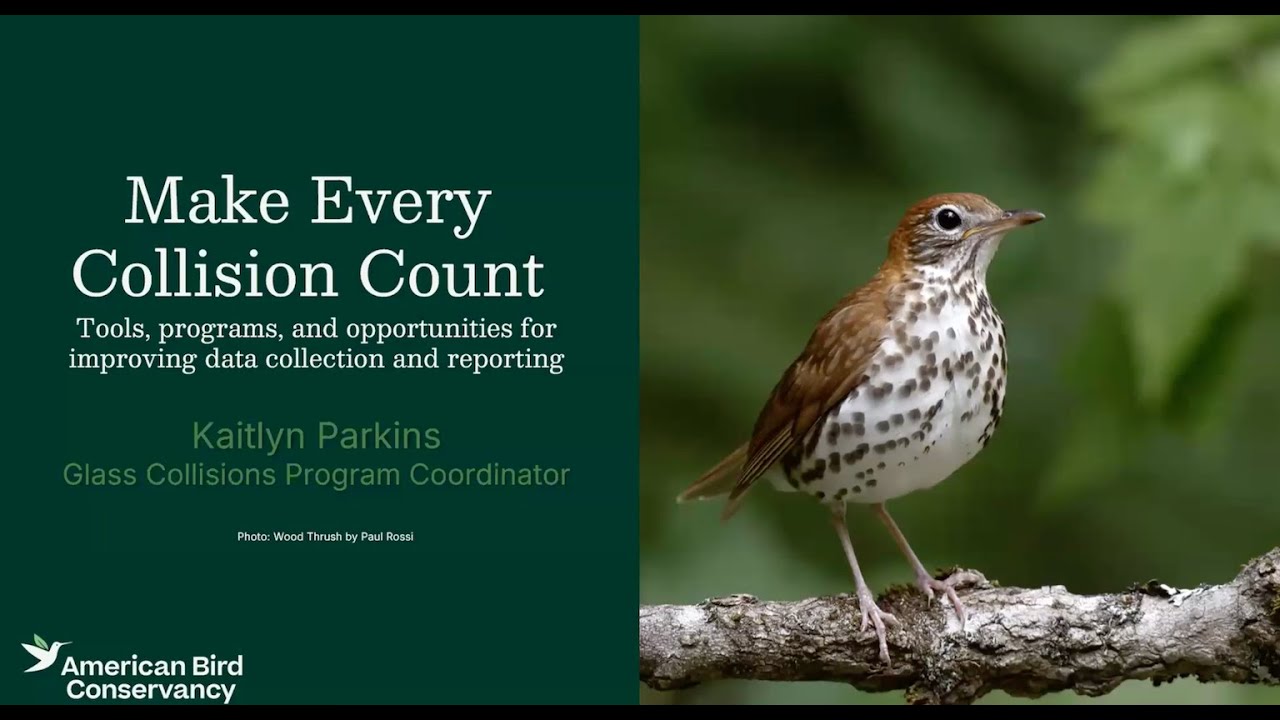 “Tools, programs, and opportunities for improving data collection and reporting” Kaitlyn Parkins