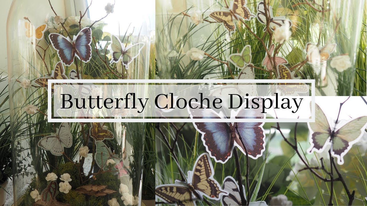 Butterfly Cloche Display