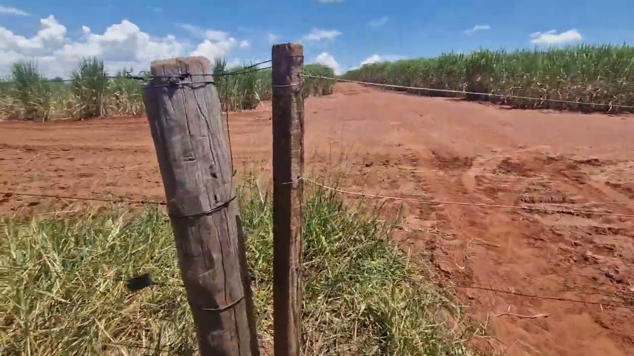O delivery da fazenda: Entreguei a ração e saí de cena 🚜💨