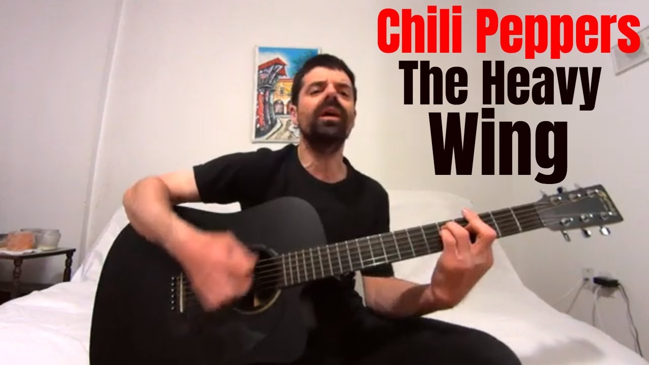 The Heavy Wing - Red Hot Chili Peppers [Acoustic Cover by Joel Goguen]