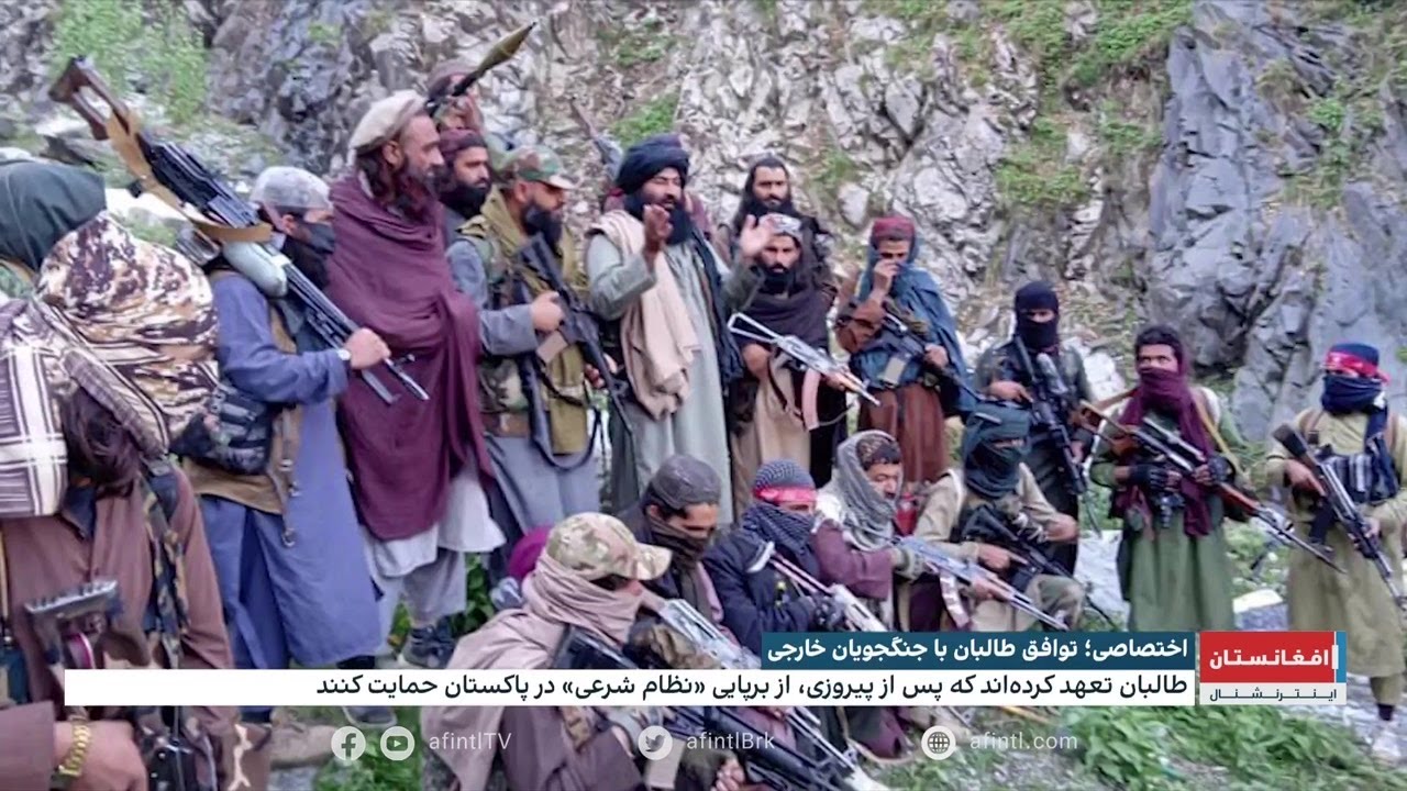 جزئیات توافق طالبان با جنگجویان خارجی بر سر برپایی نظام شرعی در پاکستان