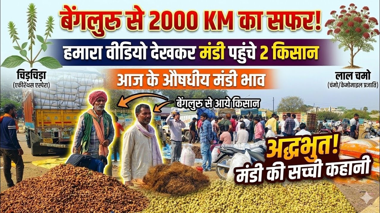 विश्वास नहीं होता! 😱 बेंगलुरु से 2000 KM का सफर सिर्फ मंडी देखने के लिए 🤯 ।। Ashish Dhakad 