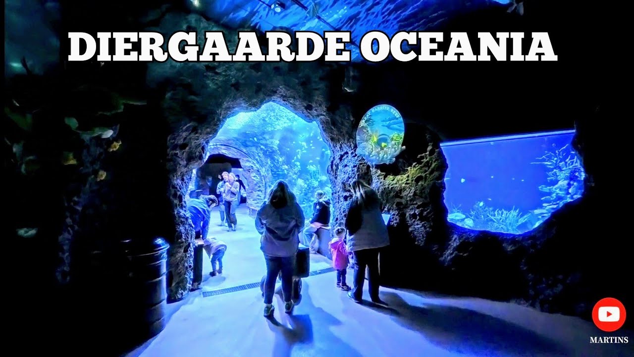 Rotterdam Blijdorp Zoo |Walking Inside Oceania |Aquarium 