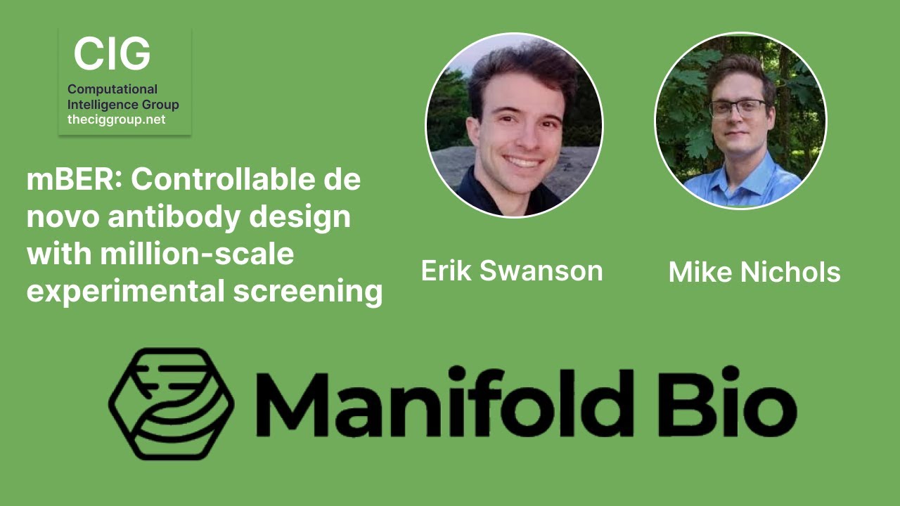 mBER: Controllable de novo antibody design with million scale experimental screening
