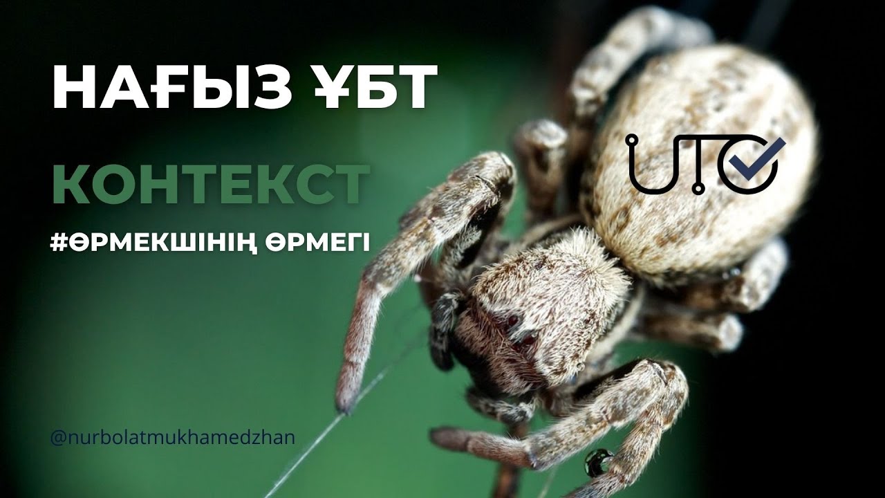 ФИЗИКА | ҰБТ | КОНТЕКСТ - ӨРМЕКШІНІҢ ӨРМЕГІ