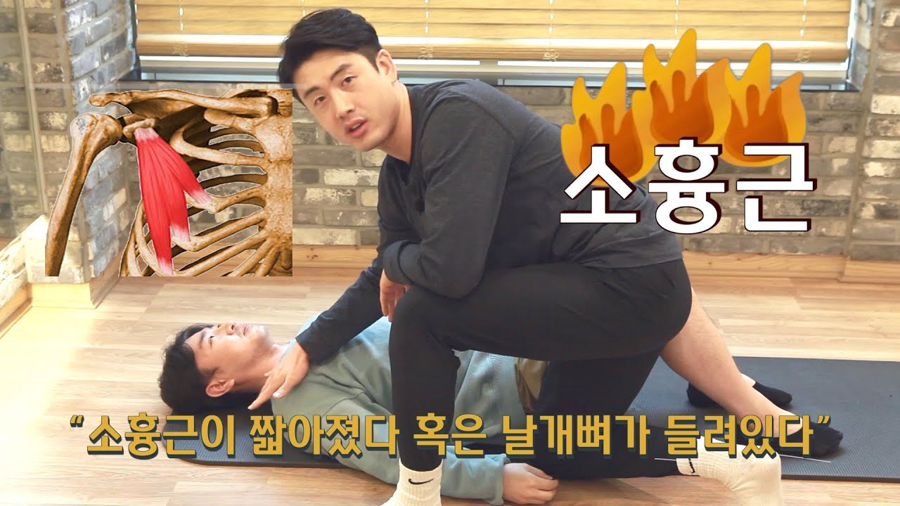 굽은 어깨 이건 알아야 해!
