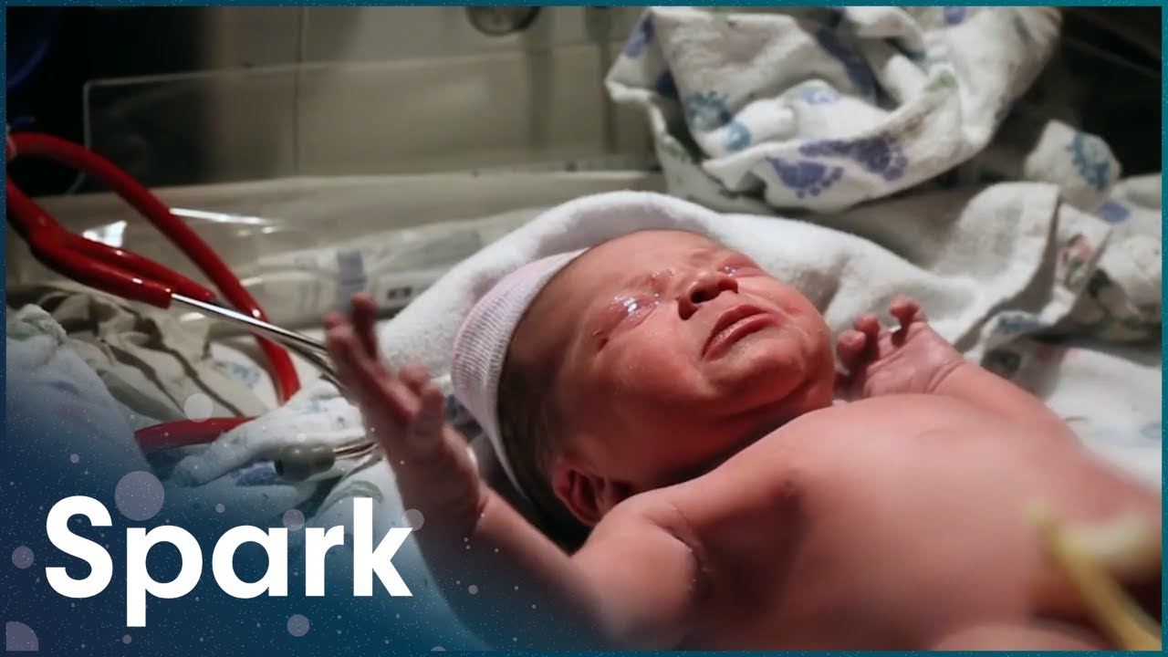 Why Are We Genetically Modifying Humans? | Epigenetics | Spark