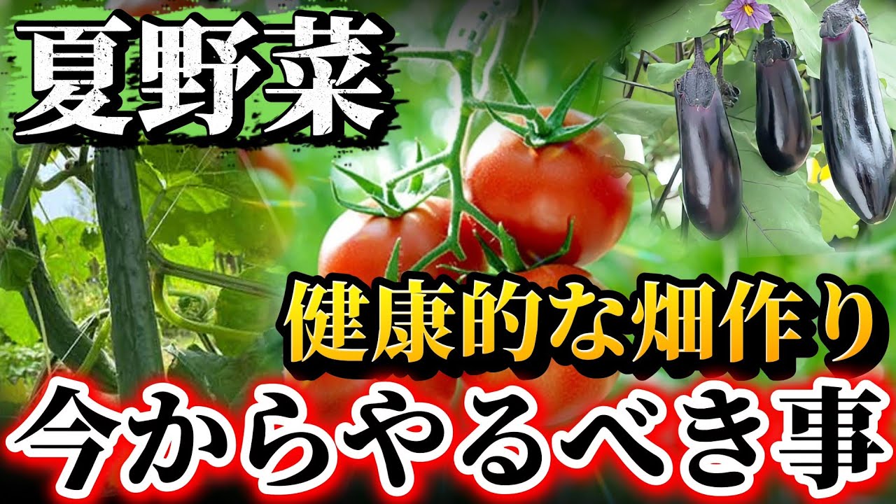 夏野菜に備えてやるべき事！！コレをやると健康的な畑を作ることが出来ます！！