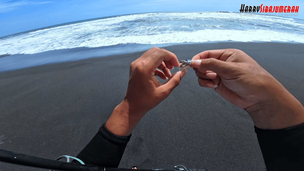 fishing on the seashore using emerita bait (Mole Crabs)