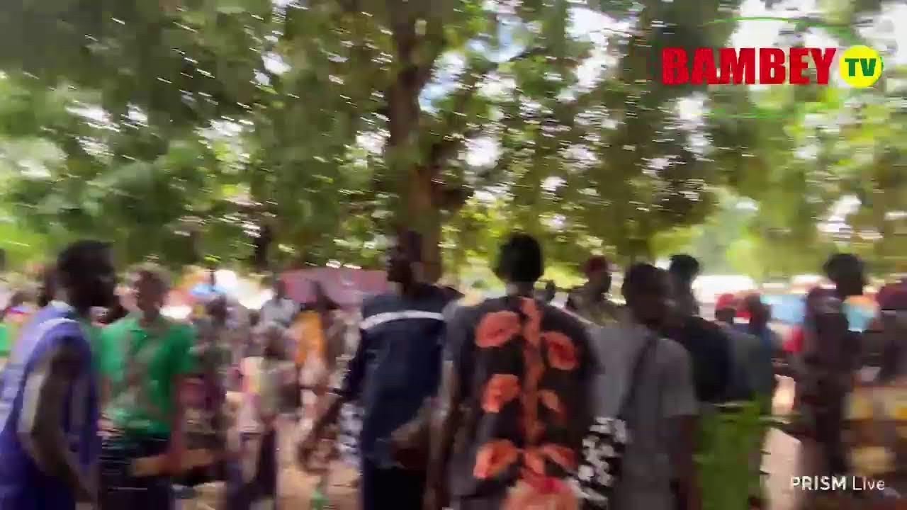 🛑 Direct Thiobon : Bukut Thiobon 2025 @ Initiation des Jeunes en Milieu Diola dans le Bois Sacrée
