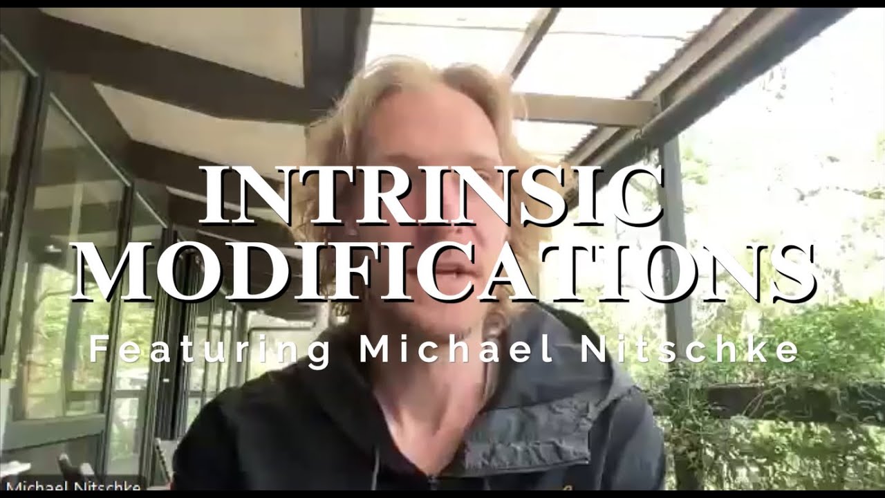Intrinsic Mods Featuring Michael Nitschke