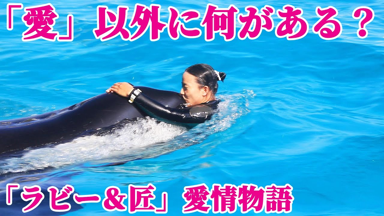 ラビーと匠「愛がダダ洩れ」です♥ 鴨川シーワールド シャチ KamogawaSeaWorld  orca killerwhale
