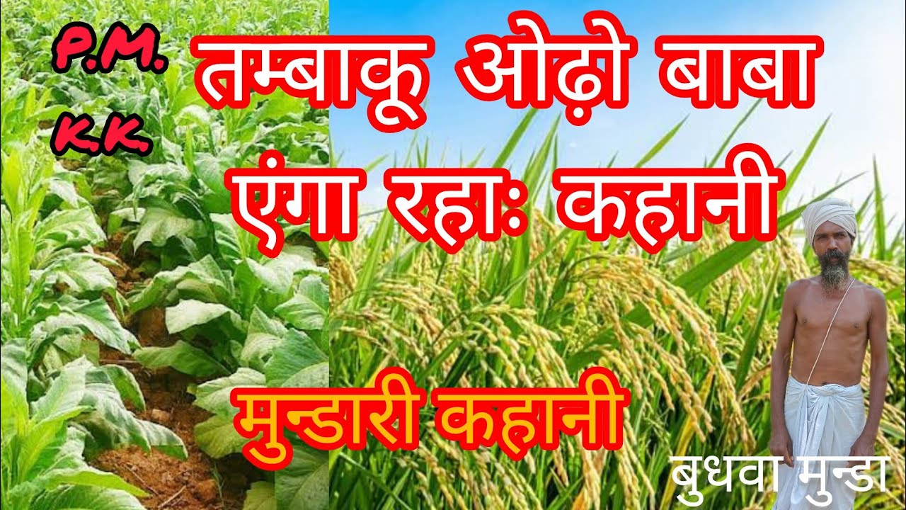 तम्बाकू ओढ़ो बाबा एंगा रहाः कहानी🥀🥀 पुराना मुन्डारी कहानी🌻🌷, न्यू पुराना मुन्डारी कहानी।