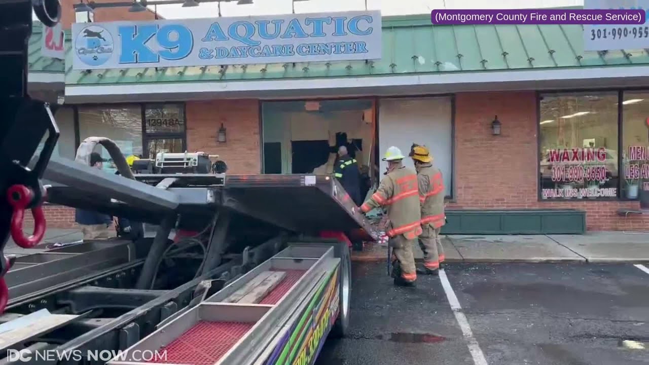 Car ends up in dog pool after crashing into doggy daycare in Montgomery County