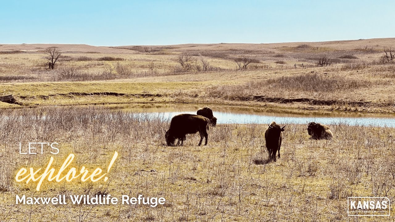 Good Day Kansas Explores: Maxwell Wildlife Refuge