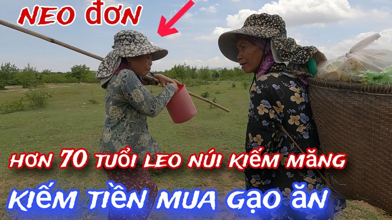 Cả buổi sáng CHỚT VỚT của 2 bà cụ HƠN 70 tuổi LEO núi kiếm MĂNG /8