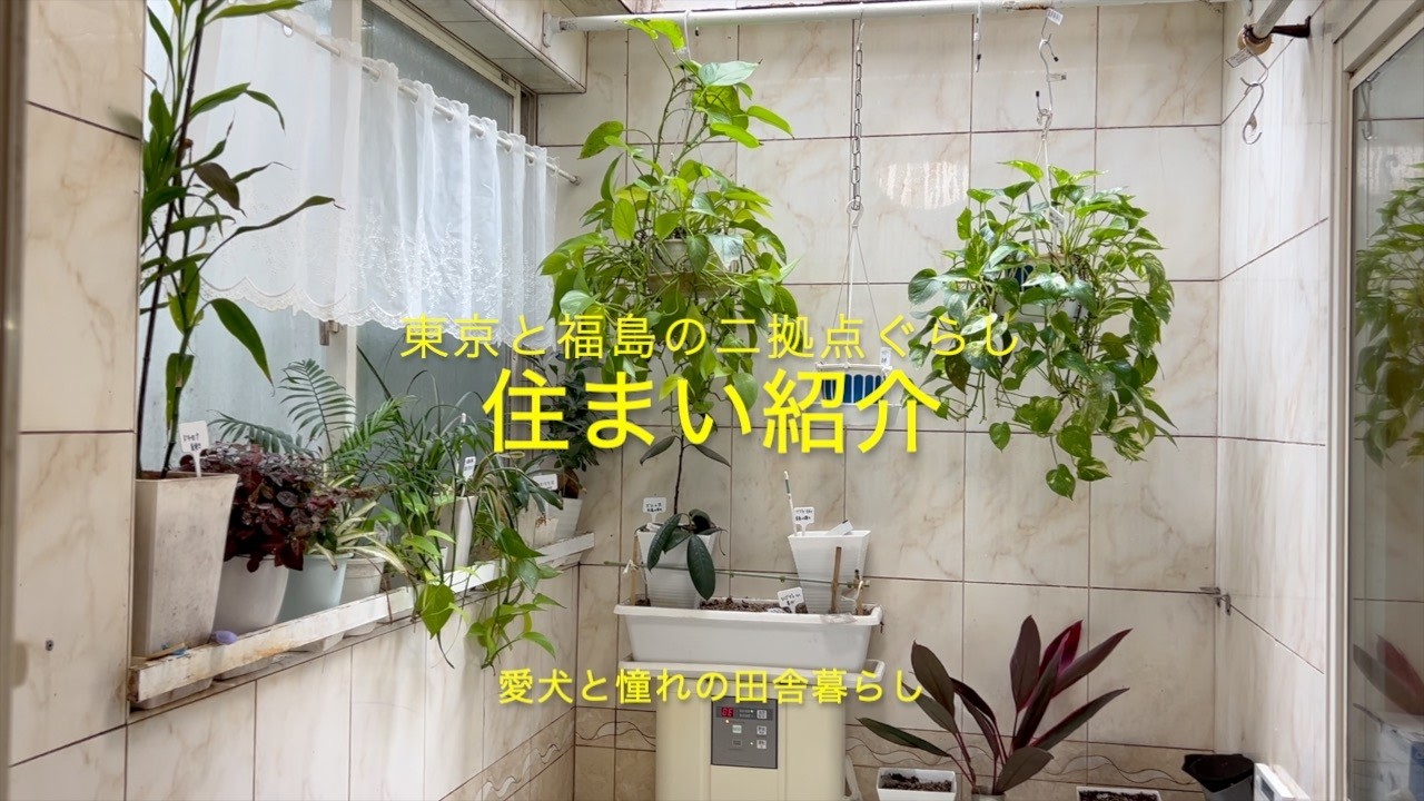 ＃３『住まい紹介』