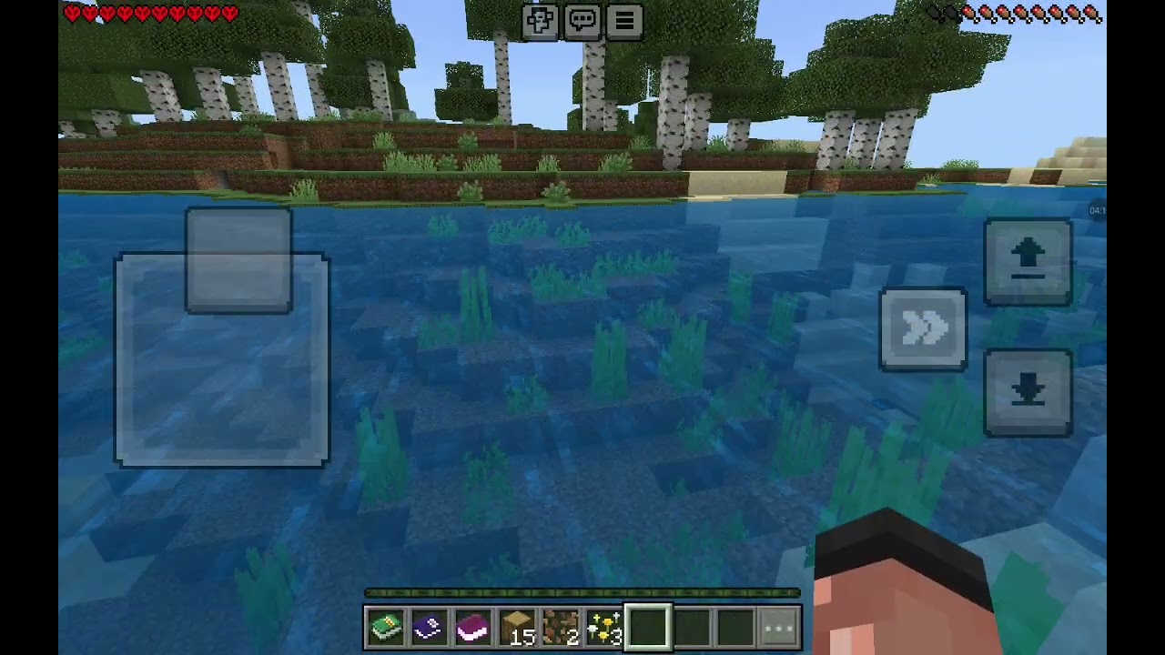 Wollte neues Projekt in Minecraft Hardcore machen wurde aber vom Mimica gekillt