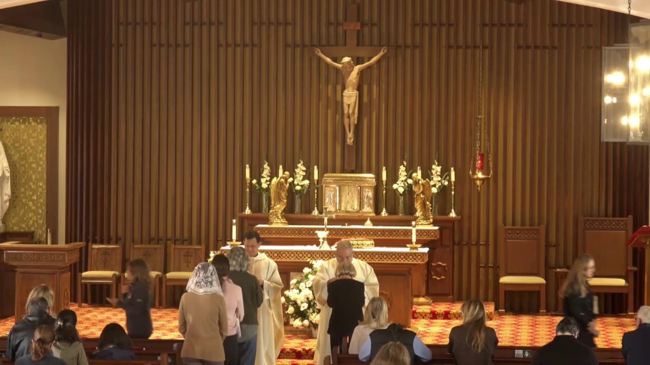 Daily Mass