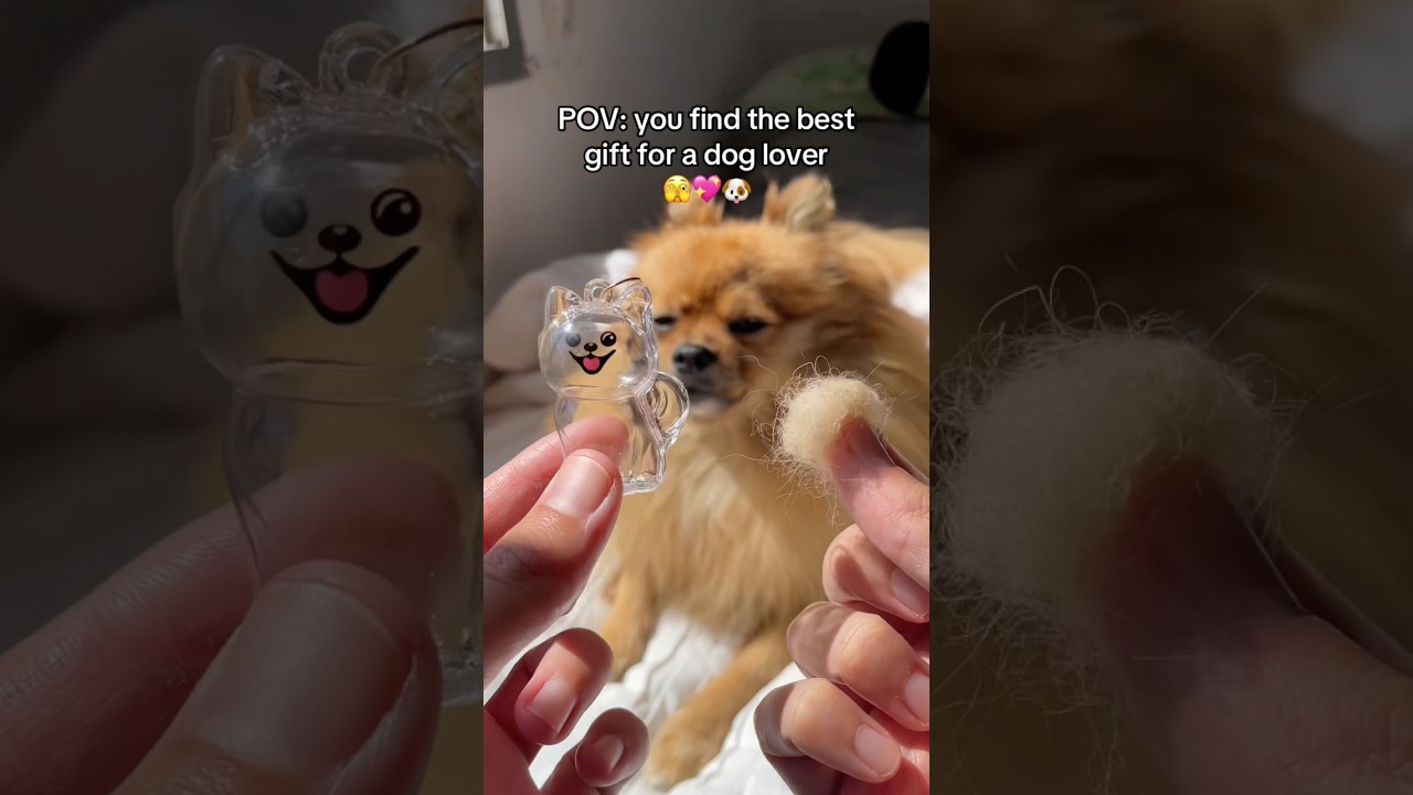 Order yours in the link in Profile 🐾 #doglover #dogowner #puppy #pomeranian #pomeranianpuppy