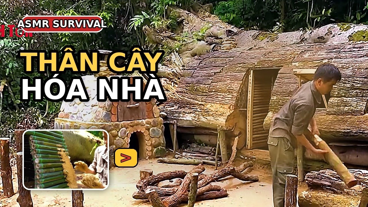 Càng Xem Càng Cuốn: Dựng Chòi Sinh Tồn Giữa Rừng Hoang| Zero Sinh Tồn