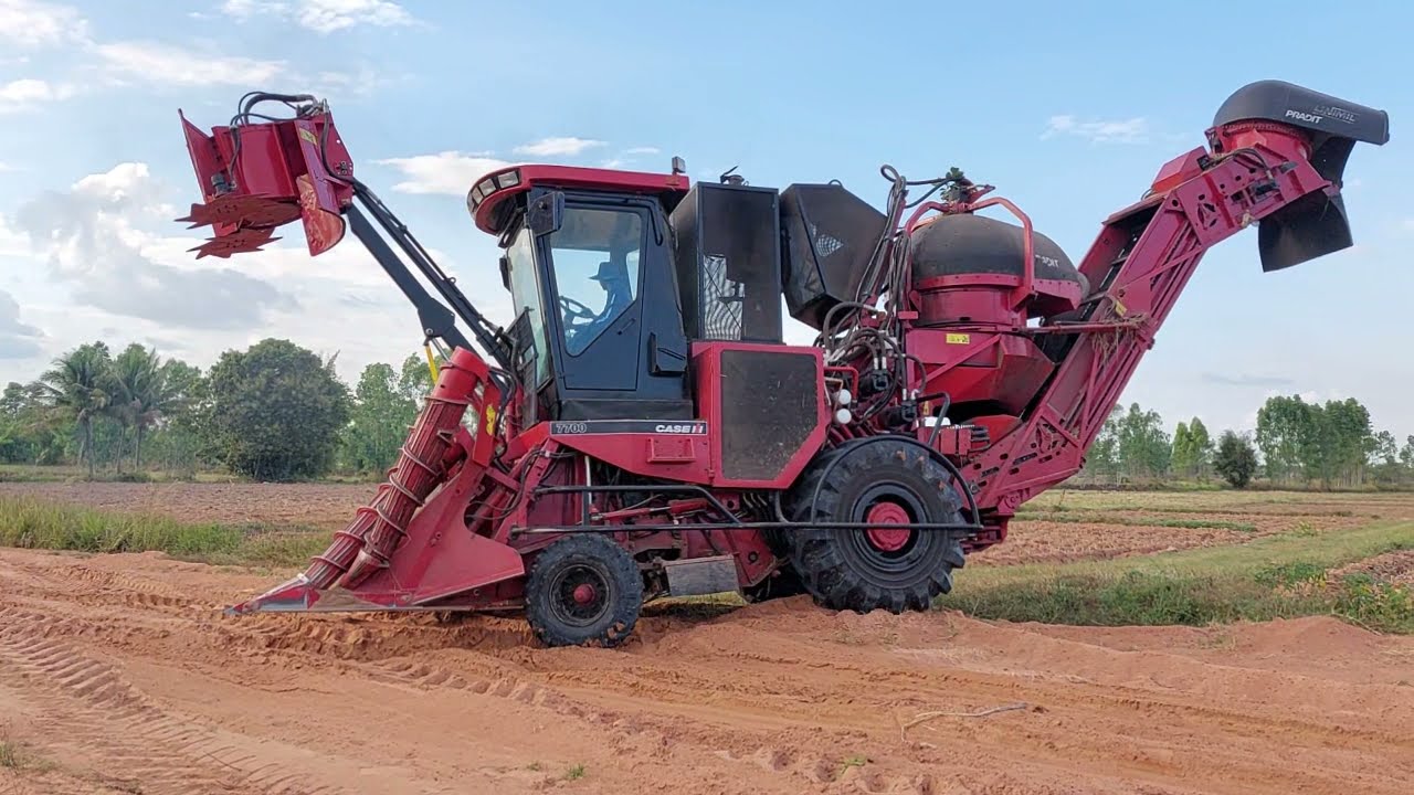 รถตัดอ้อยเก่านอก CASE iH7700 เปิดฤดูกาล จังหวัดสุรินทร์ มือใหม่ sugar cane harvaster EP.9026