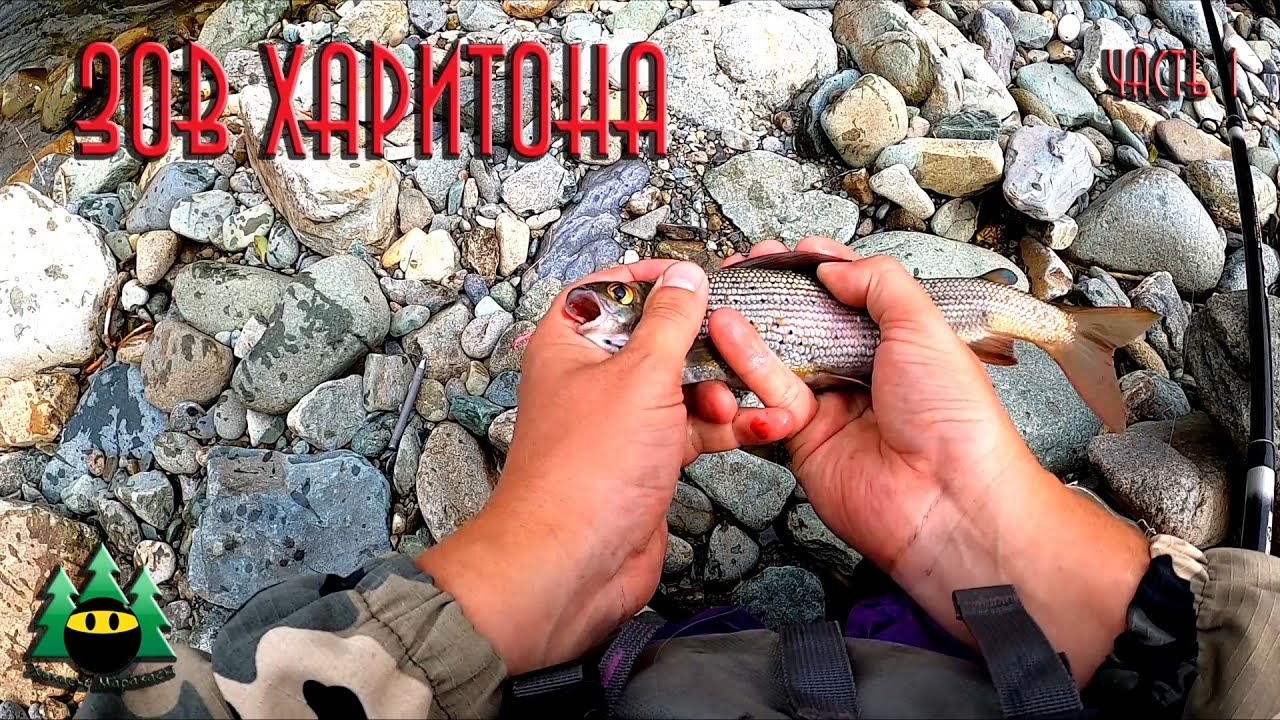 Зов Харитона. Часть 1.