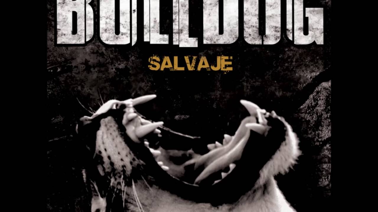 Bulldog - Un, dos, tres... (AUDIO)